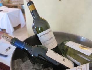 Intense, crisp dry 2010 whites